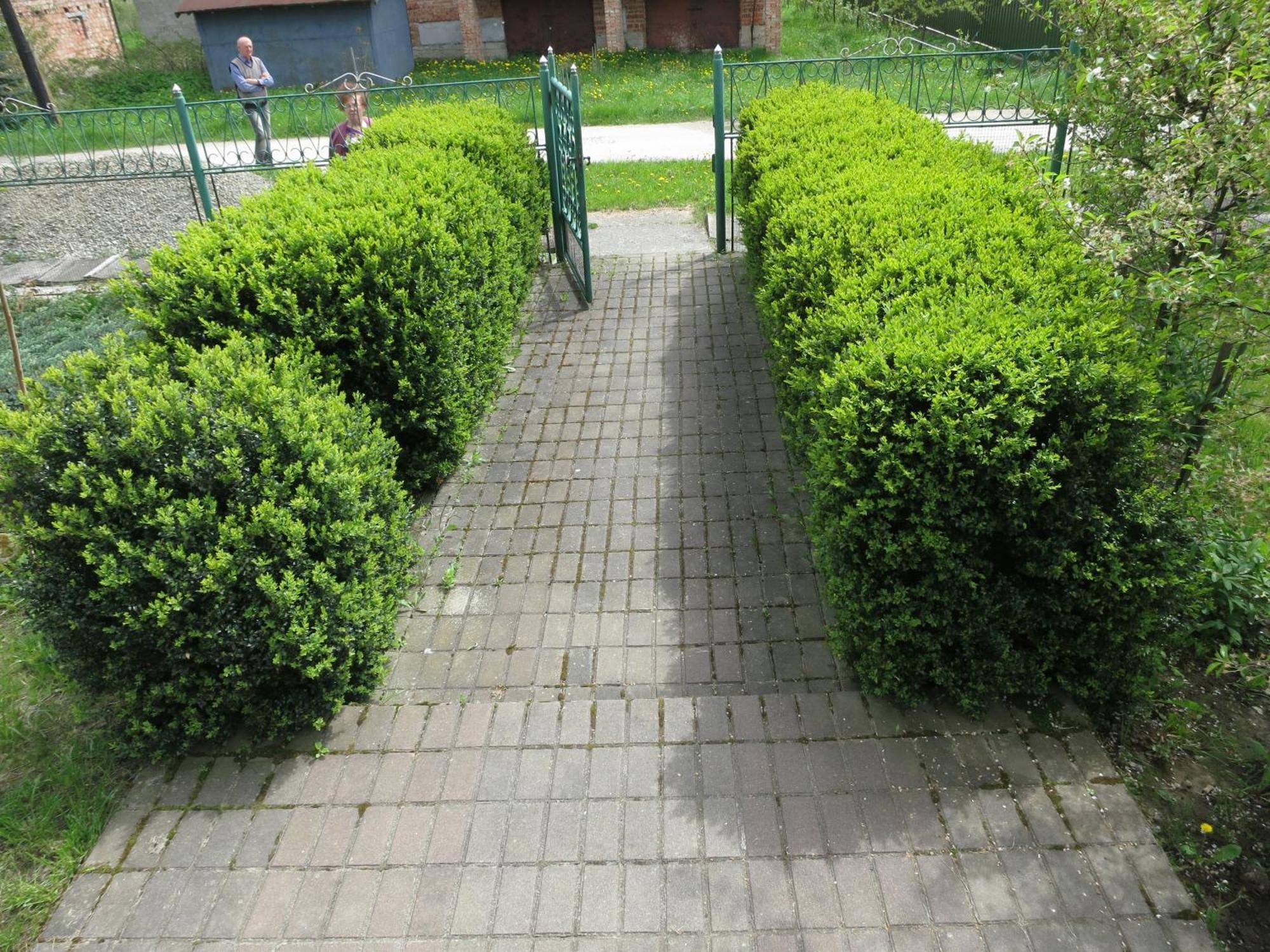 Hostynna Sadyba Lishnya Exterior photo